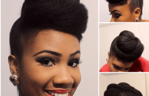 Twisted Pompadour